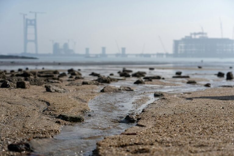 industry growth metrics overview